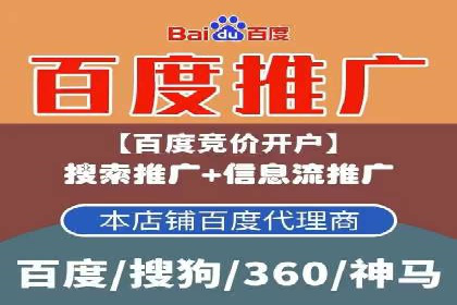 大型SEM服务公司案例分析